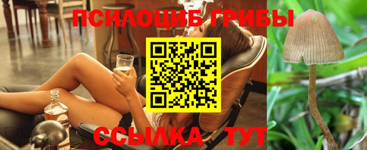 Галлюциногенные грибы GOLDEN TEACHER Щёлково